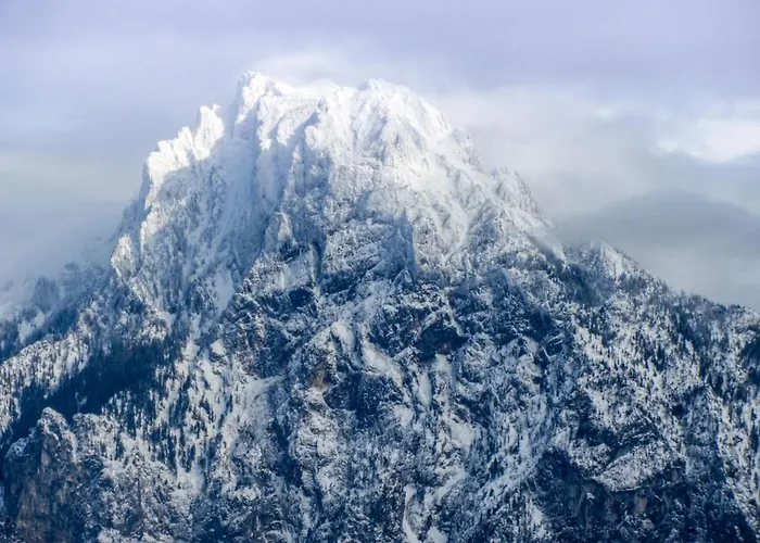 Bammer By Interhome Διαμέρισμα *